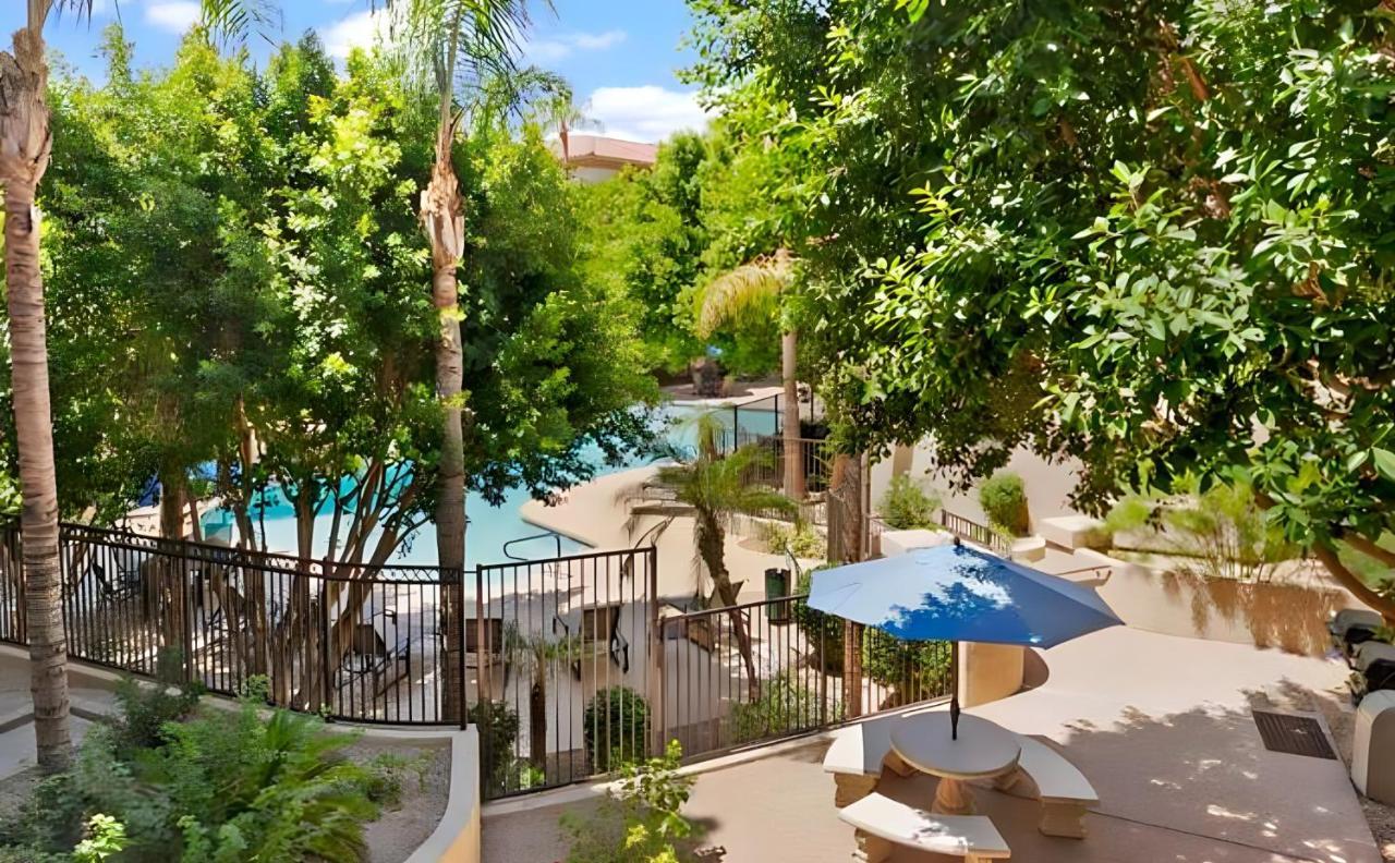 Biltmore Bliss Desert Retreat! Phoenix Kültér fotó
