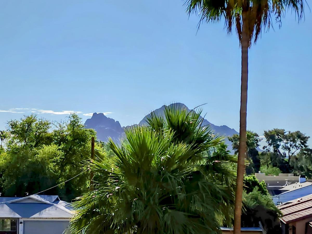 Biltmore Bliss Desert Retreat! Phoenix Kültér fotó